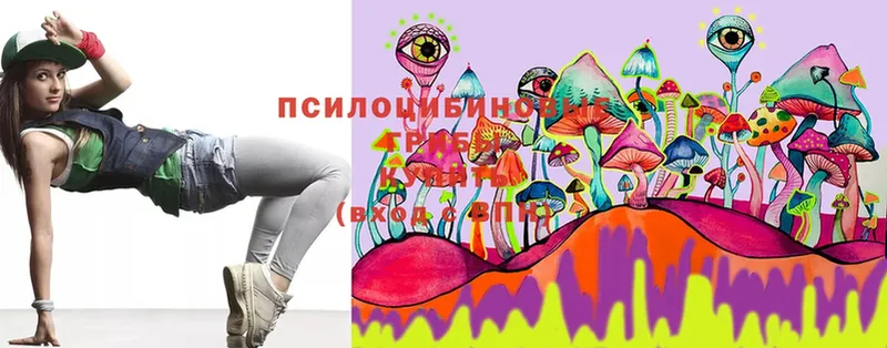 где можно купить   Лесной  Псилоцибиновые грибы Magic Shrooms 